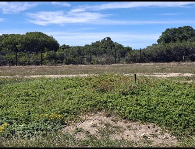 3 BEDROOM HOUSE FOR SALE IN STILBAAI-WES